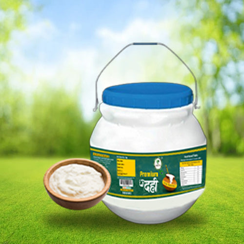 Protien Dahi / Premium